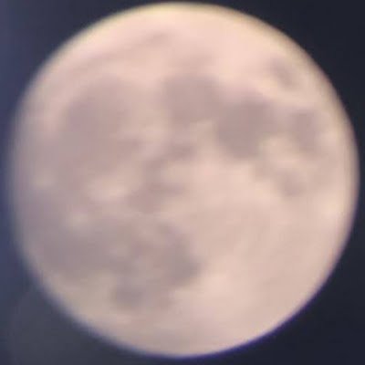 hanilob's profile picture. 