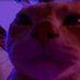 haha (@haha7567) Twitter profile photo haha (@haha7567) Twitter profile photo