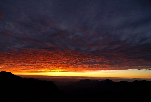 vFusionElite's profile picture. Hi.