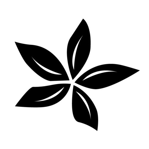 Blossom Coffee (BlossomCoffee) Twitter