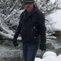 Jeff Weal (@jweal61) 's Twitter Profile