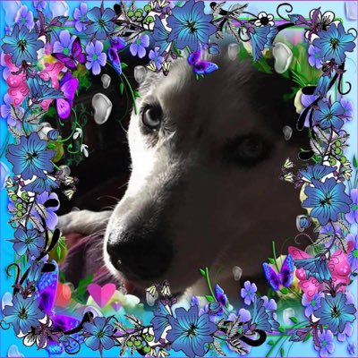 SarahLukacko's profile picture. favorite show the office/ the twilight zone/ the Drewbarrymoreshow/ have cats / favorite is crafting/ reading/ swimming/ making cakes/ playing arcade games.