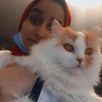 أميرة🍒🇵🇸 (@82pcdqwjg0wrjcy) 's Twitter Profile
