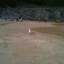 Leah Skipper - @leahskipper - Twitter