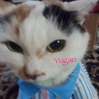 😈✨で熟女です🤣⚠️注意⚠️エラい人ではありません😔営業DMはやめて下さい😔
💃年齢非公開、晩酌全開🍶
#晩酌は命がけ #米の汁で生きていたい