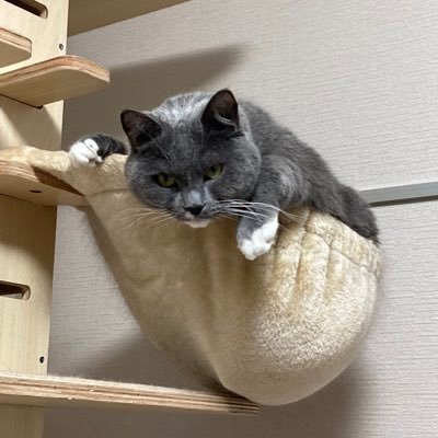 poepoeさんのプロフィール画像
