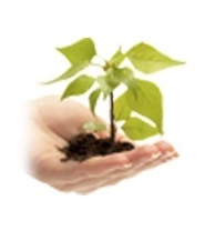 RicFertility's profile picture. Virginia's most trusted fertility center for nearly three decades. Check out our site for FAQ's, testimonials, and helpful resources.