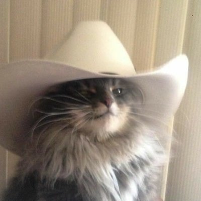 em feiteさんのプロフィール画像