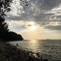 Dott (@dott19830812) 's Twitter Profile