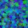 azurepolarbear's profile picture. (she/her) (aka @books_n_code) algorithmic artist making beautiful things with code 💙👩🏽💻