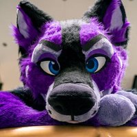 Aura💜 (@furrypurpleaura) 's Twitter Profile Photo