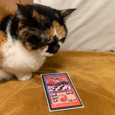 自身のYouTube chの告知、MTG関連の呟きをしていきます。 中の人は稲妻でギリ死なない程度の年齢です。インベジョンブロックあたりでMTG始めてます。コンボ大好き MTG100%ちゃんねる 👉https://t.co/WS5ycYE5lo