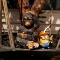 Steve🏴󠁧󠁢󠁥󠁮󠁧󠁿 (@steve94903512) 's Twitter Profile