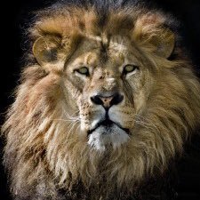 What makes that simply extraordinary is that extreme rarity……