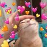 ChakhiaoNoWhip's profile picture. |🏳️‍🌈| 🎧🌧️🌒🏀🏡🎞️📸