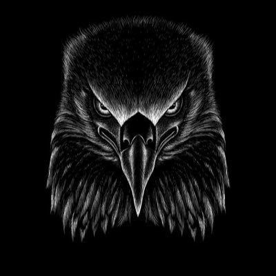 Youtuber | Beast Sniper | XBOX | Uploads Every Friday | DM me what kind of games you want to see me play!