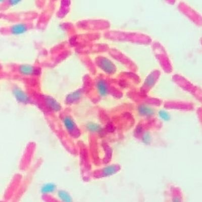 crazy9wizard's profile picture. hey wait, what are you doing here?!