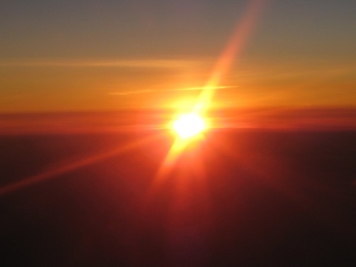 foid's profile picture. 