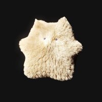 🗑 (@zn242878163) 's Twitter Profile