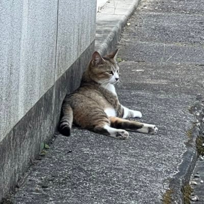 2Gkento222's profile picture. どうすんの