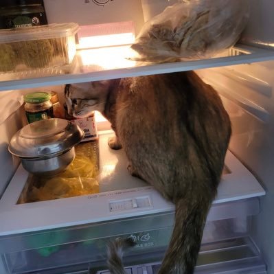 itsdeepanshu_'s profile picture. 𝙙𝙤𝙣'𝙩 𝙨𝙘𝙖𝙧𝙚 𝙢𝙚 𝙖𝙬𝙖𝙮