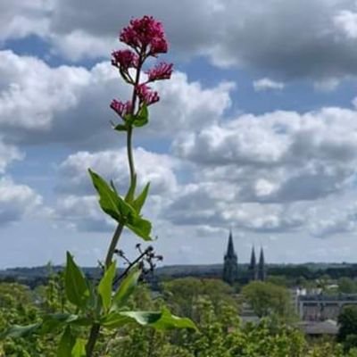 NatalynVenera's profile picture. люблю Україну