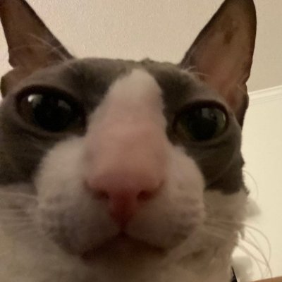 Jomkさんのプロフィール画像