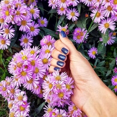 NailBox NFT project/French Beauty Wholesaler/What do you expect about your nails and your beauty attributes in metaverse...?