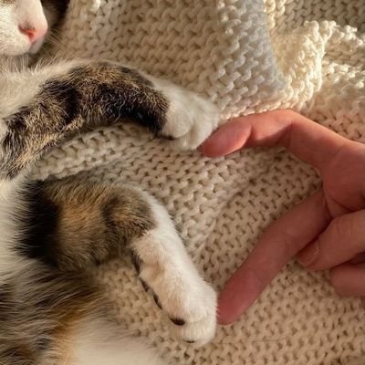 ralichan's profile picture. 