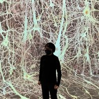 Claire 👩🏻💻 🧠 (@csuncodes) 's Twitter Profile