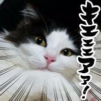 アリデッド (@arided127) 's Twitter Profile Photo アリデッド (@arided127) 's Twitter Profile Photo