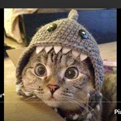 rugnetta75's profile picture. Niente