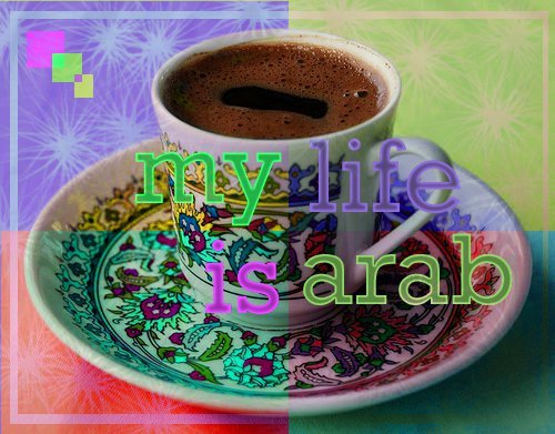 MLIArab's profile picture. 