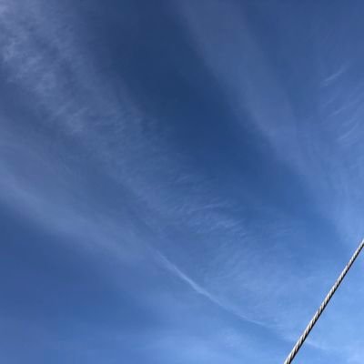 現在高3の長女が2022.5月に起立性調節障害と診断されました。2022.10月に全日制から通信制に転校しました。ストレスから離れたことや、分子栄養療法を始めたことで少しずつ回復してきました。分子栄養外来で副腎疲労、機能性低血糖であることが分かりました。日常生活が普通に送れることに感謝の日々です。