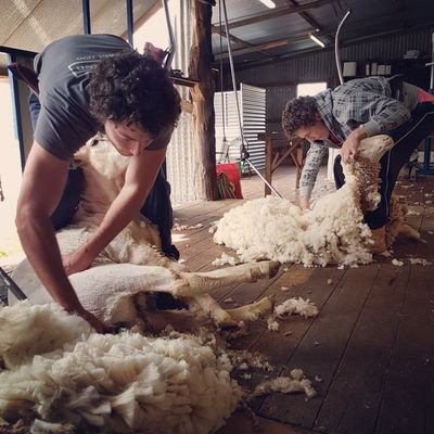 Clinton_Ralston's profile picture. 