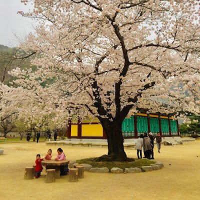 choco41311217's profile picture. 