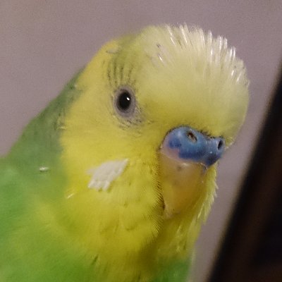 らいむさんのプロフィール画像