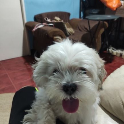 EdselAbiera's profile picture. amaw