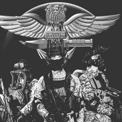 Siddharthcdt21's profile picture. ⚔️🛡️Unity and Discipline🇮🇳🪖
 Aviation✈️ | AI&ML | SFs| Army brat|🇮🇳Always Pioneering 🪖
