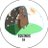 nippi_nip