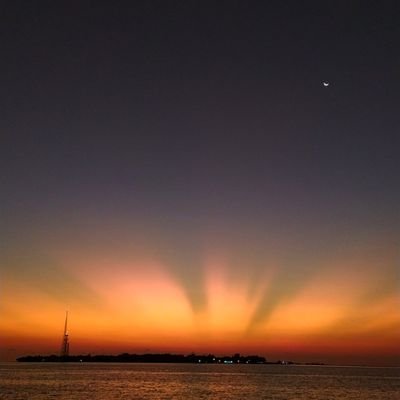 danvarey's profile picture. {B1tc01n 15 th3 futur3}
Pre historic (CPU era) BTC miner. 
Coins are for the children. 
Live life as it is. 😊