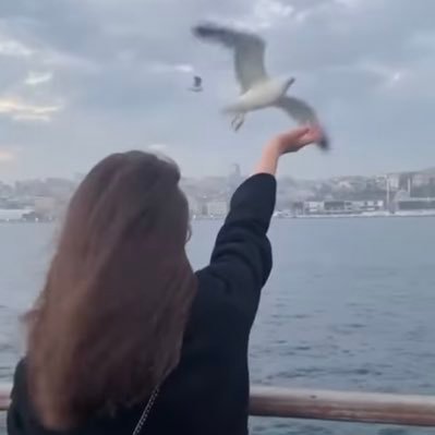 judeealzoubi's profile picture. -You lost me and I lost my time🖤.