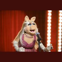 ANARODRIGUEZCASTAÑO (@anavet4787) 's Twitter Profile