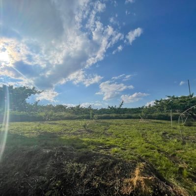 71OoSEXn8FAUAGH's profile picture. 