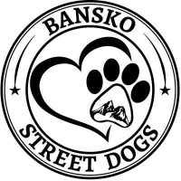 Bansko Street Dogs (@banskostreetdog) 's Twitter Profile