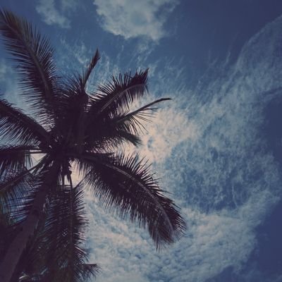 Jeb02768945's profile picture. do good to everyone