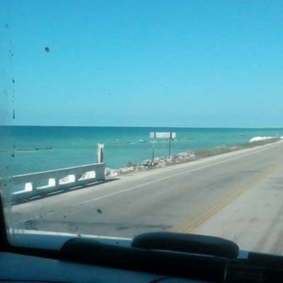 Mark03910967's profile picture. 🤙😎