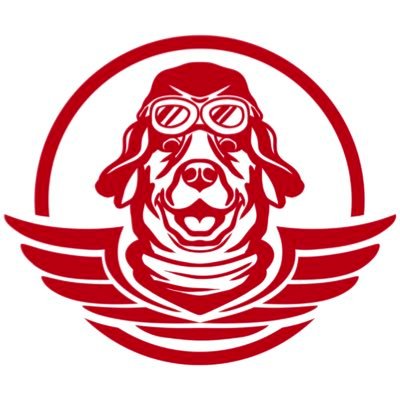 Asociación de pilotos voluntarios, llevamos mascotas abandonadas desde las perreras y protectoras, hasta sus hogares definitivos en vuelos solidarios. 🐾✈️