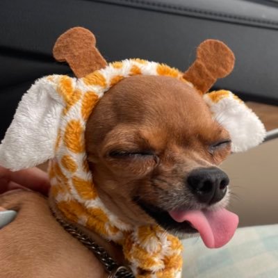 hyolo__'s profile picture. 