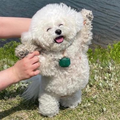 xさんのプロフィール画像